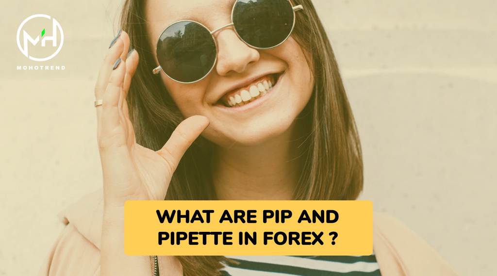 WHAT ARE PIP AND PIPETTE IN FOREX ?